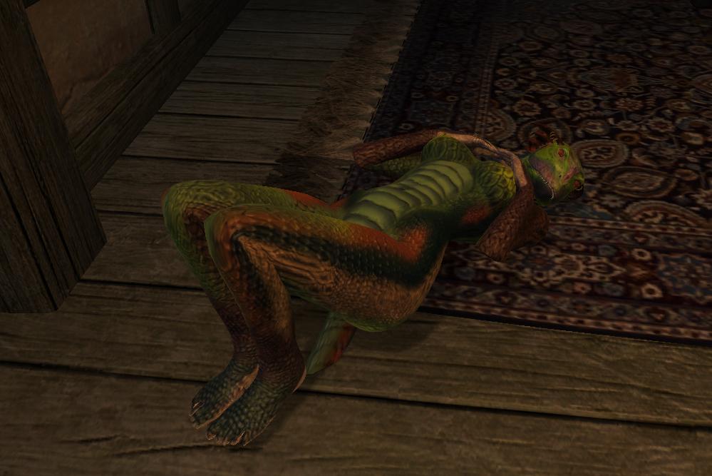Ychan - f - oblivion furries - khajiit and argonian screenies-art - 38546