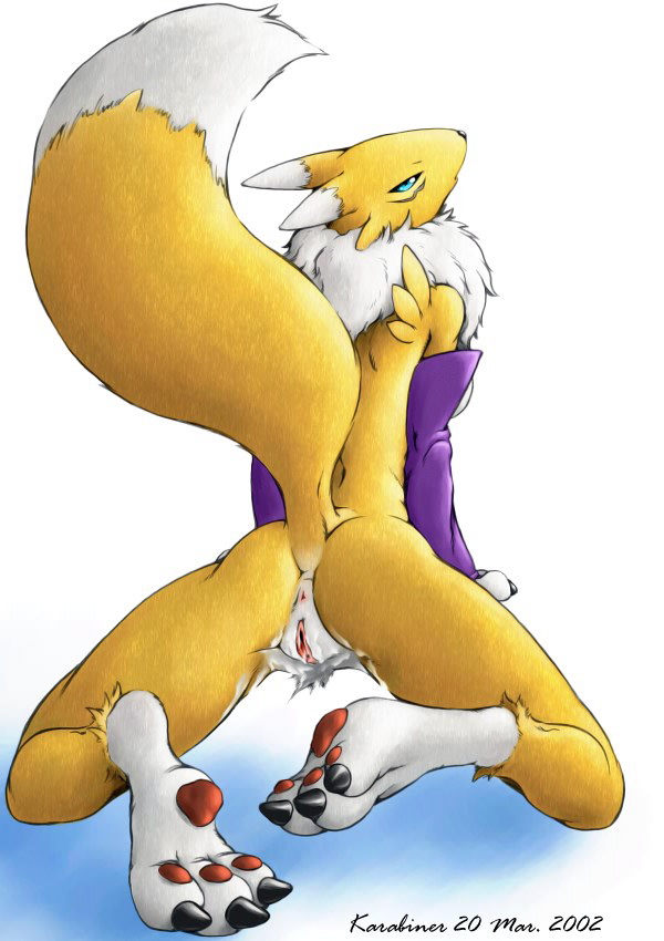 Ychan - f - renamon - uncensored image 10