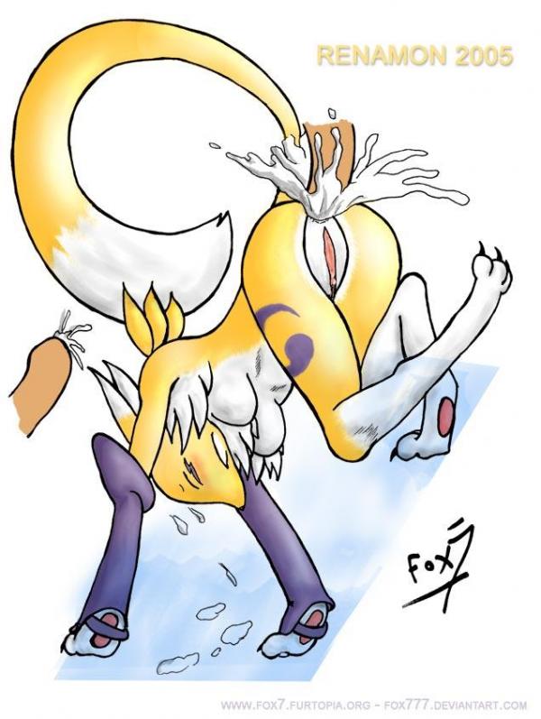 Ychan - f - renamon - 38771