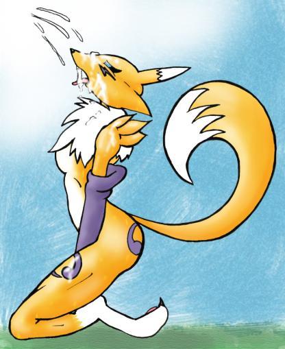 Ychan - f - renamon - 38772