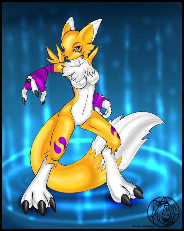 Ychan - f - renamon - 38796