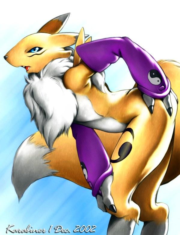 Ychan - f - renamon - 38806