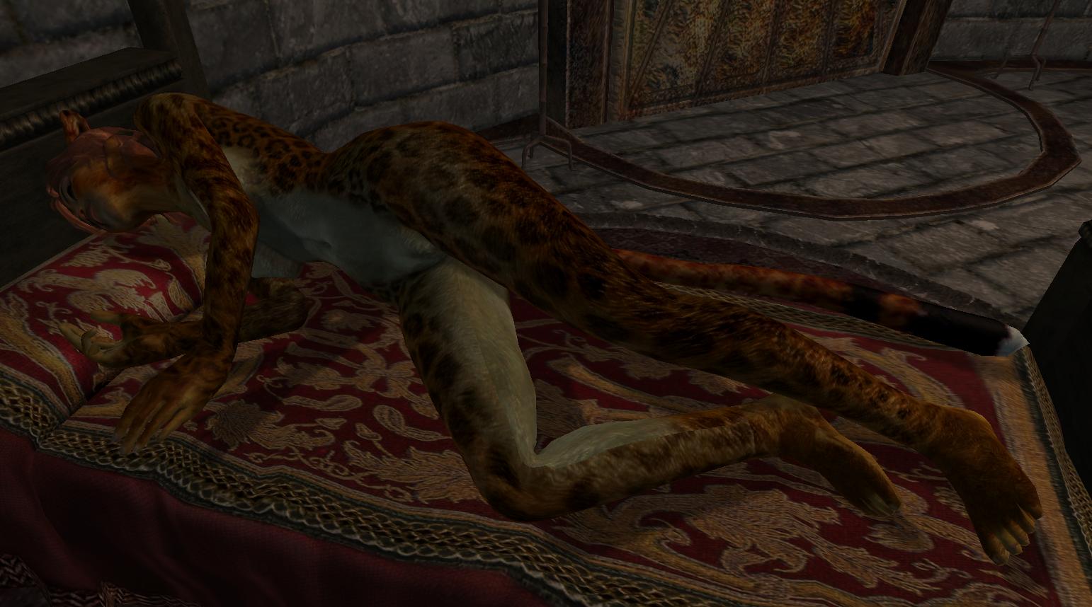 Ychan - f - oblivion furries - khajiit and argonian screenies-art - 39393