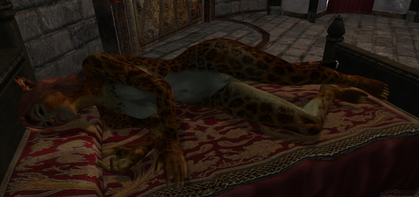 Ychan - f - oblivion furries - khajiit and argonian screenies-art - 39394