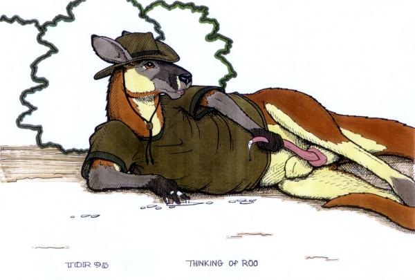 Ychan - m - male kangaroos - 39632