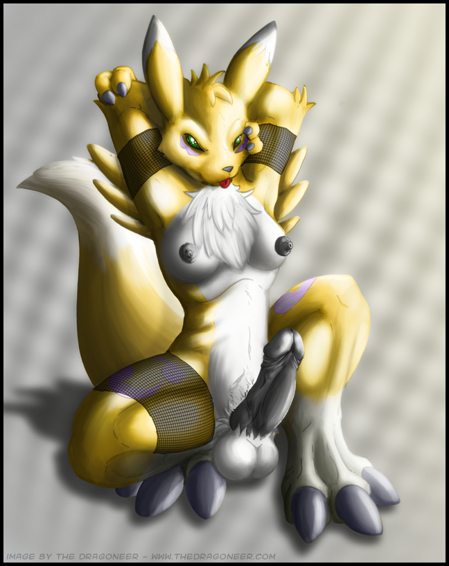 Ychan - h - looking for more renamon herms - 40375