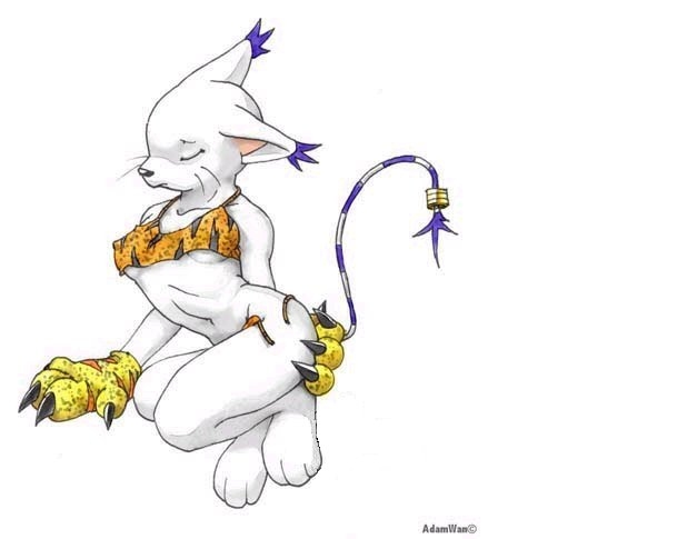Ychan - f - gatomon - 42337