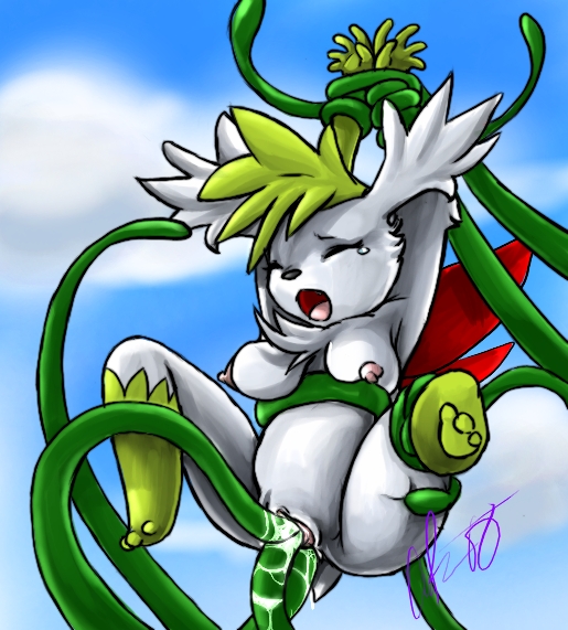 Ychan - r - any shaymin - 44015