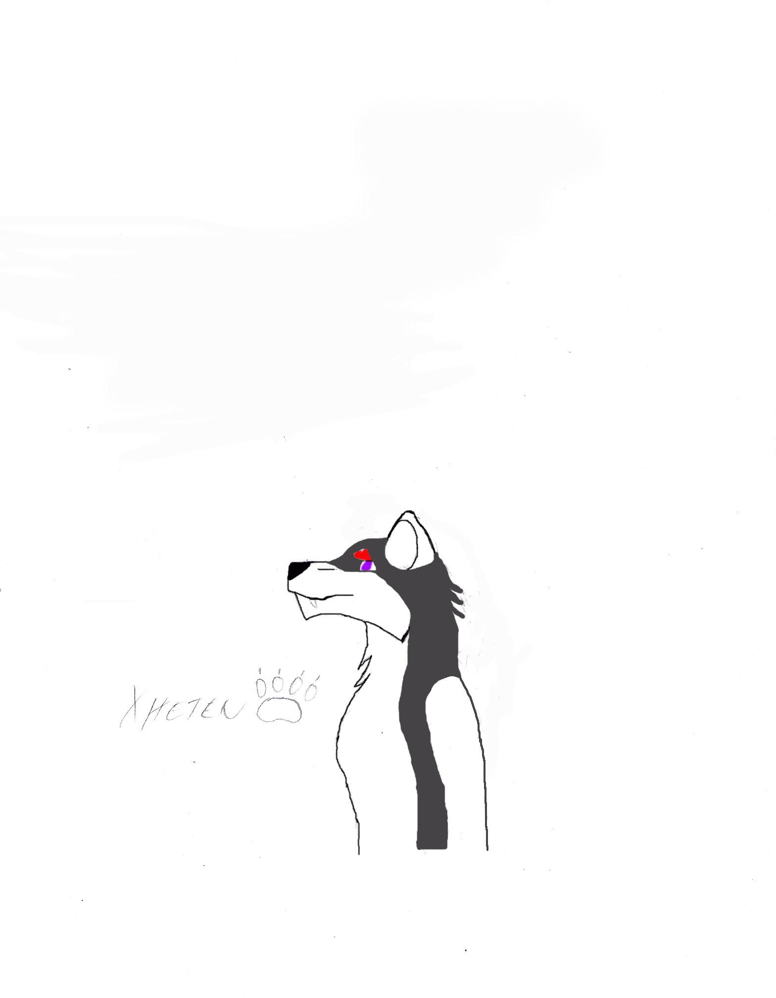 Ychan - c - fursonas - 44025