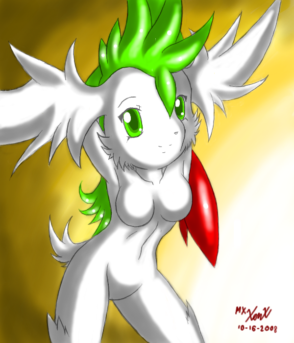Ychan - r - any shaymin - 44261