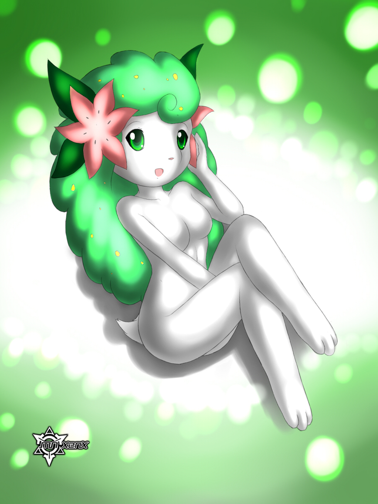 Ychan - r - any shaymin - 44267