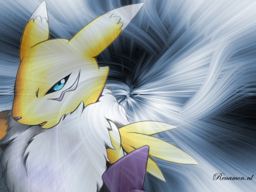 Ychan - c - renamon wallpaper - 44627