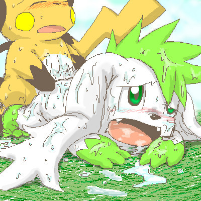 Ychan - r - any shaymin - 45085