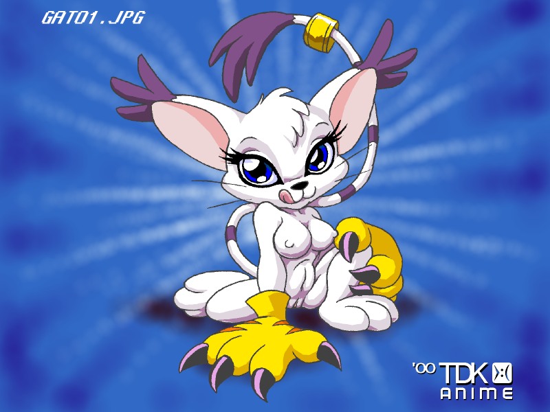 Ychan - f - gatomon - 45173