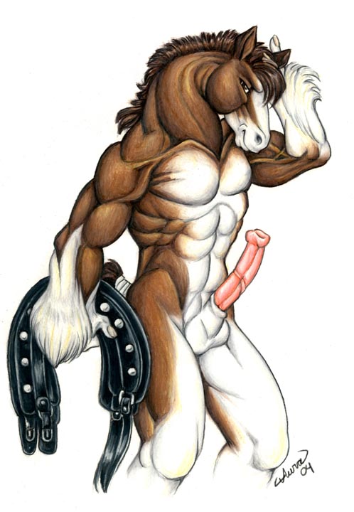 Naked Stallion