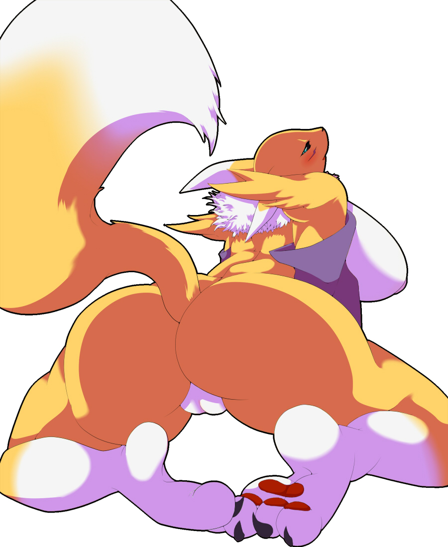 Ychan - f - renamon - 47277