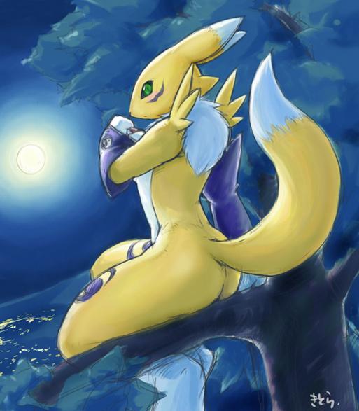 Ychan - f - renamon - examples of what i mean 3