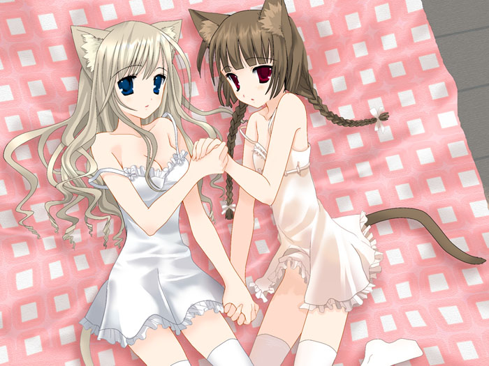 Ychan - c - cat girls - 51971