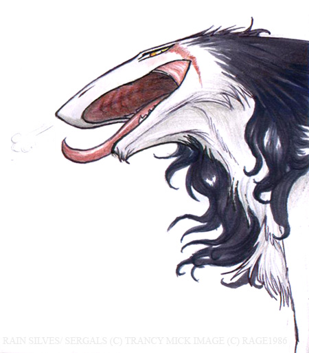 Ychan - r - sergals - 52127