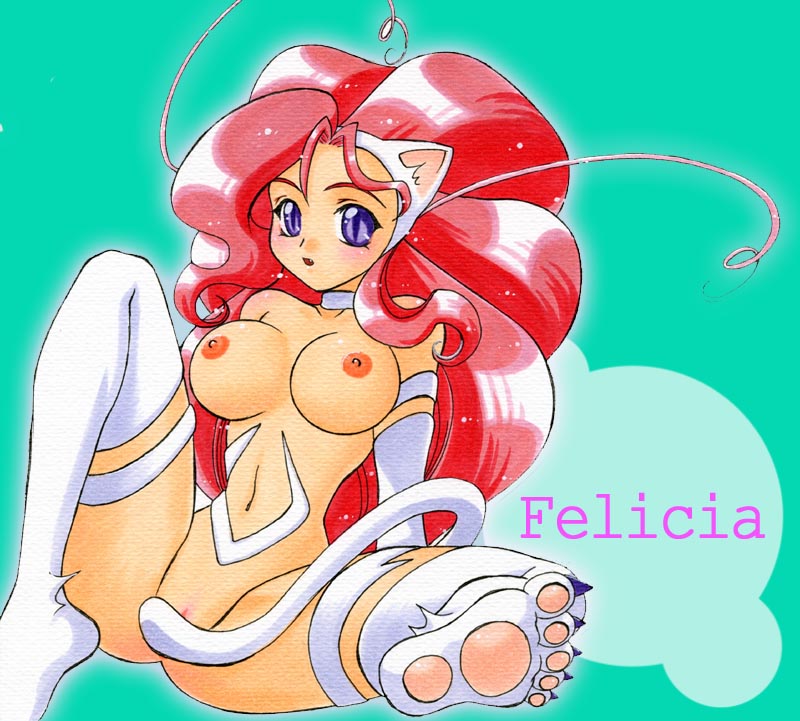 Ychan - r - felecia from sttreet fighter - 52257