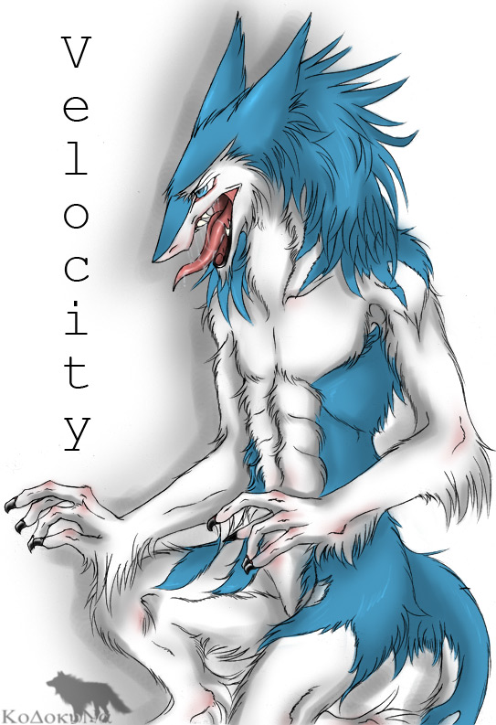 Ychan - r - sergals - 52398