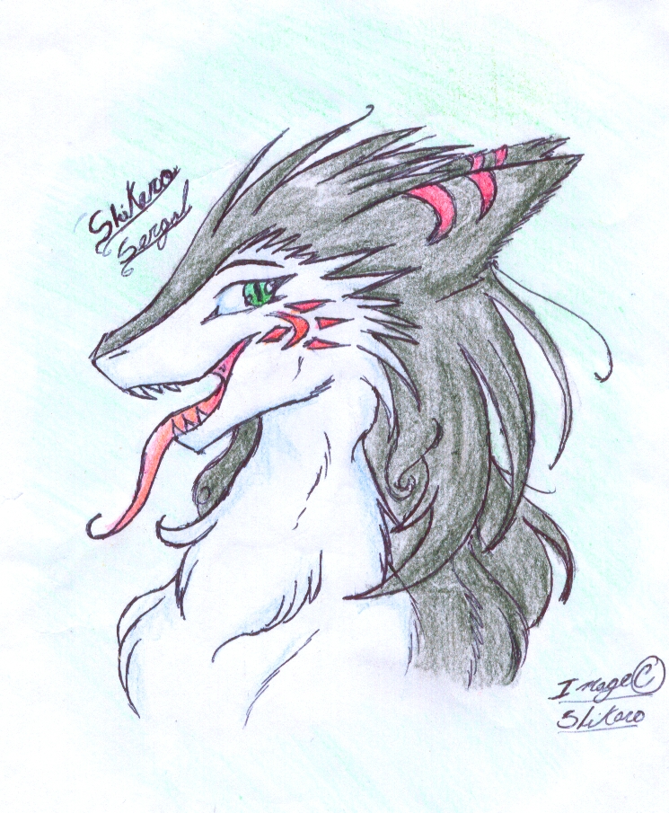 Ychan - r - sergals - 52413