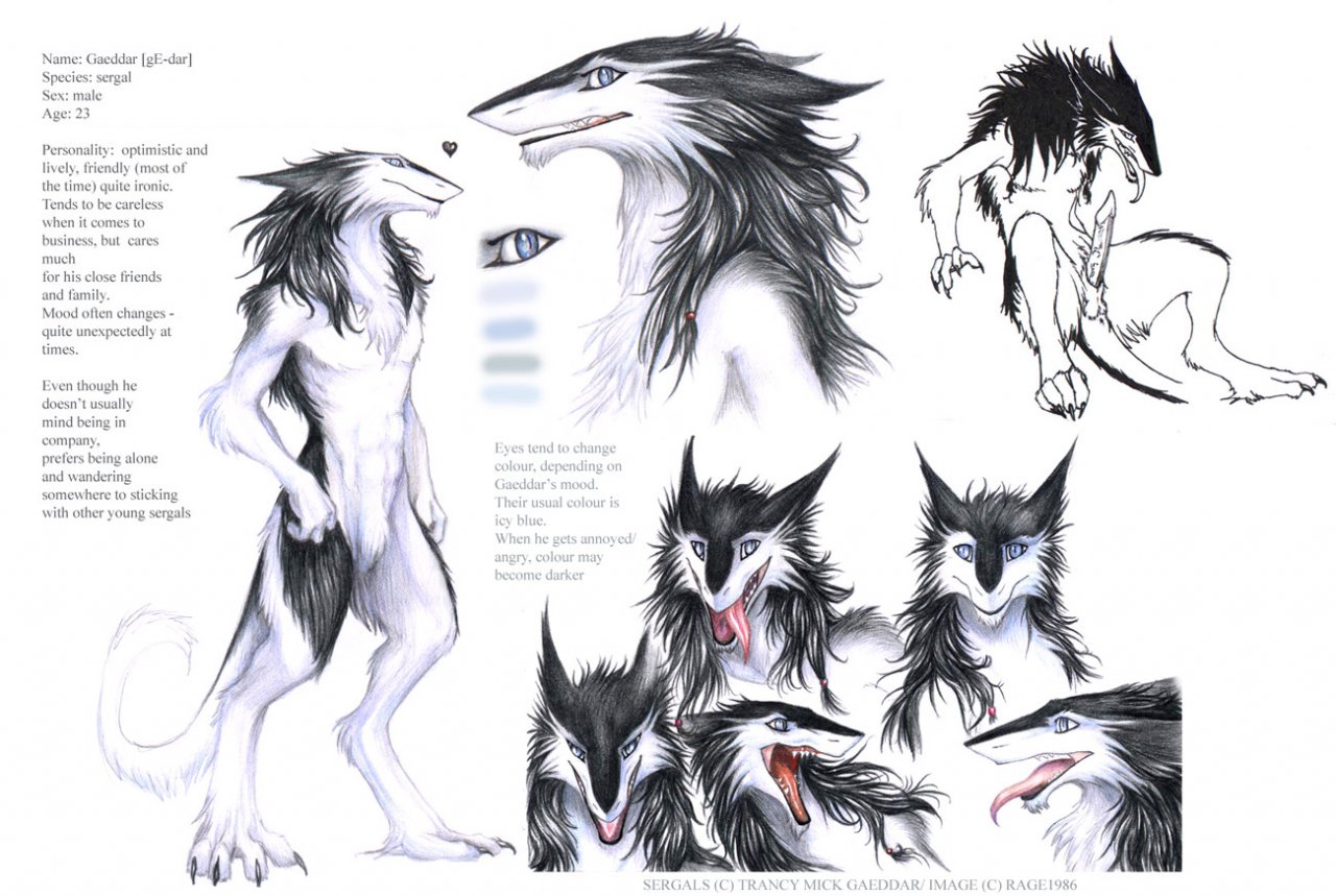 Ychan - r - sergals - 52417