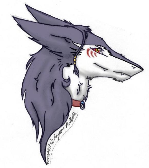 Ychan - r - sergals - 52428