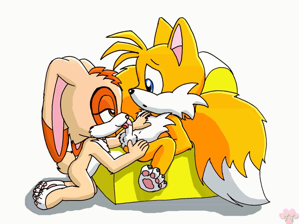 Ychan - s - tails from sonic the hedgehog with any one - 5253