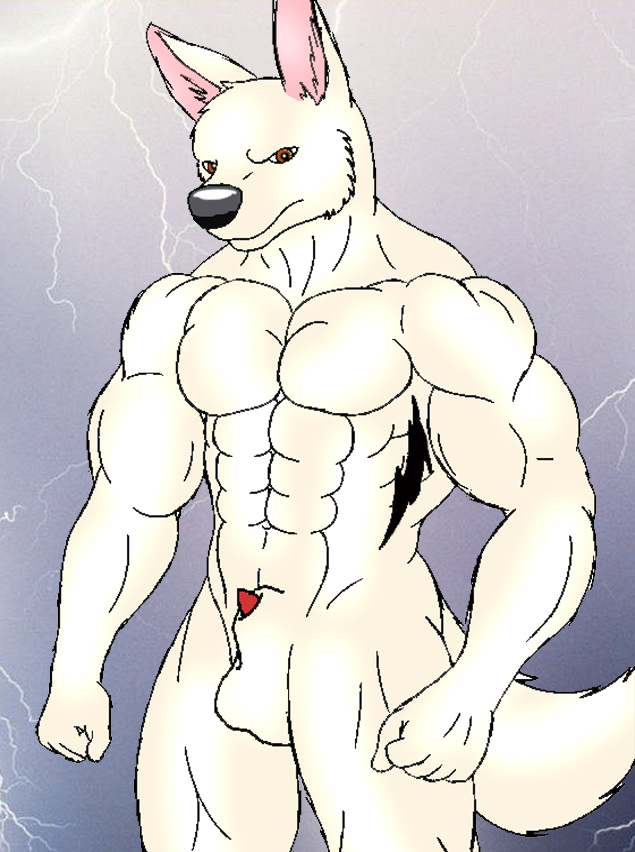 Ychan - r - bolt - 52531
