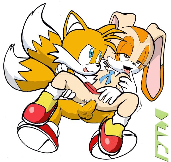 Ychan/s/tails from sonic the hedgehog with any one/5269.