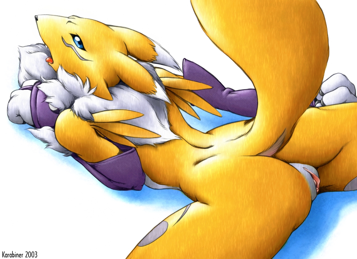 Ychan - f - renamon - 5416