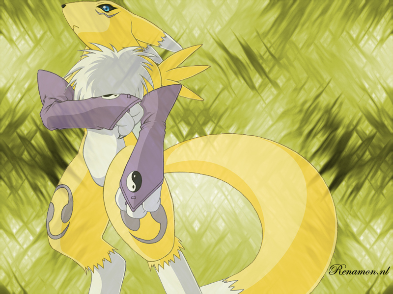 Ychan - c - renamon wallpaper - 55197