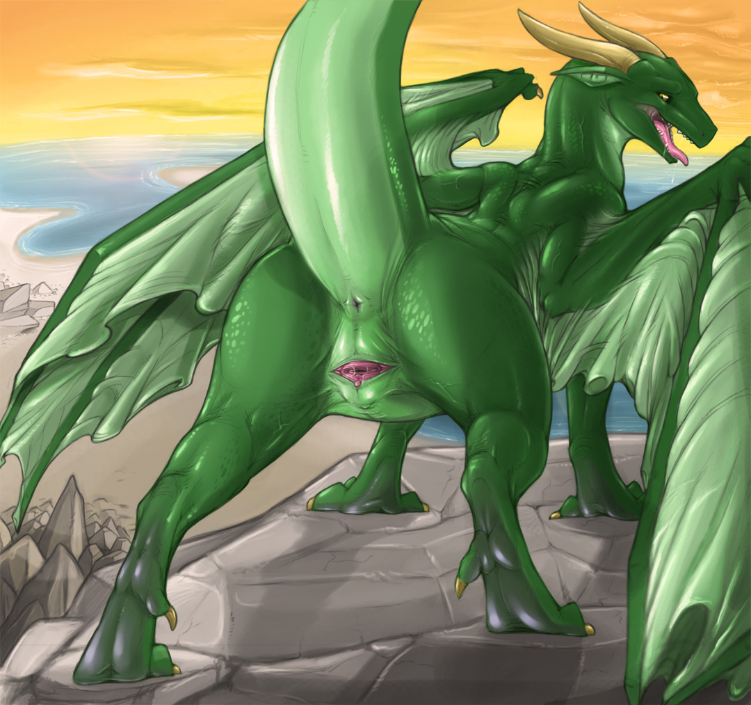 Ychan - f - solo female dragons - 55829