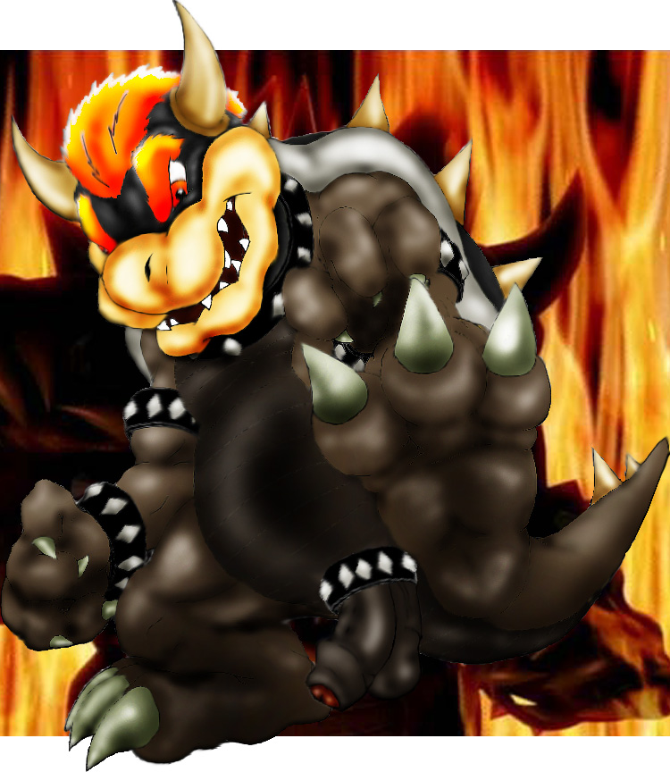 Ychan - g - bowser - 56223