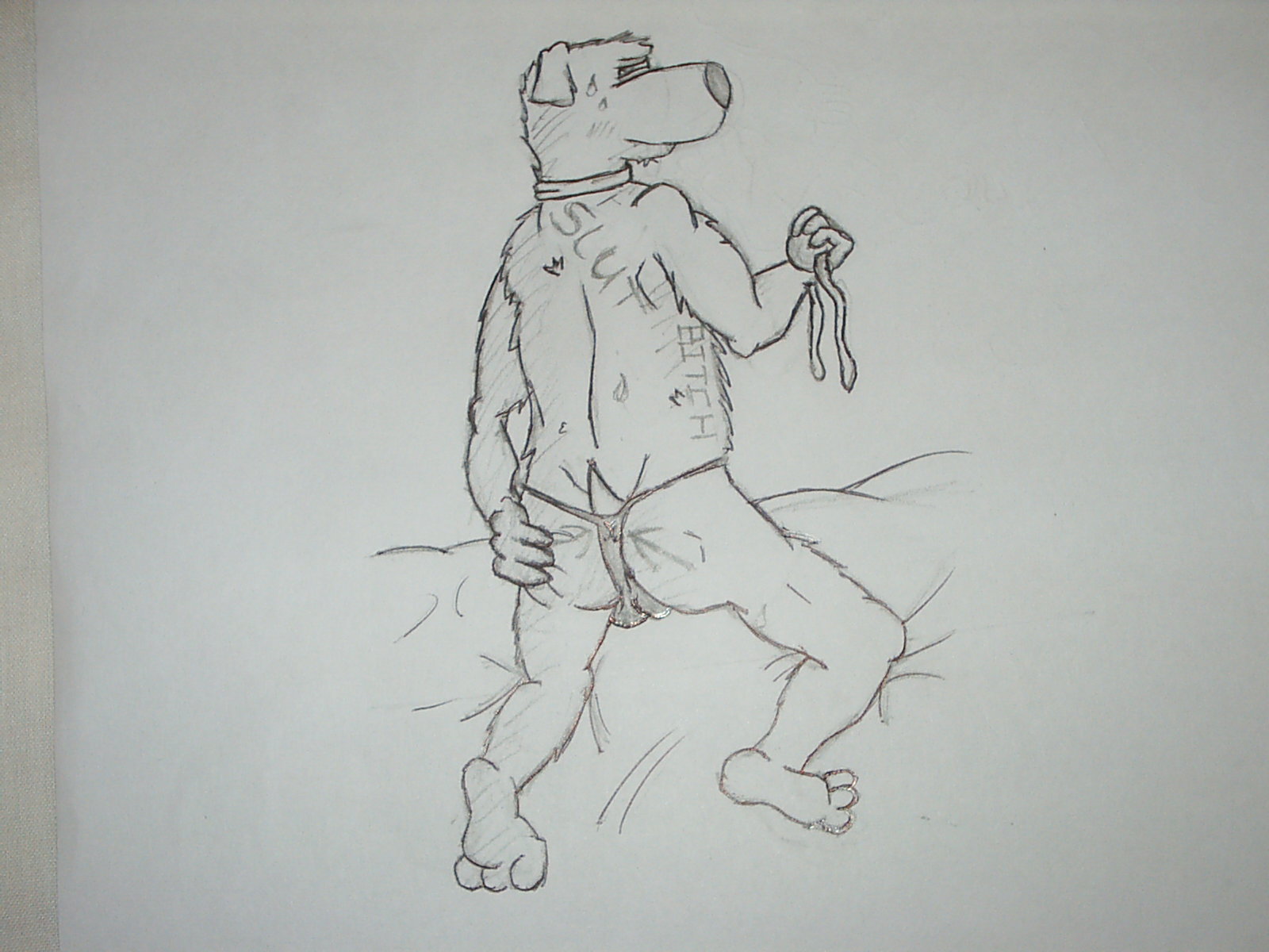 Ychan - m - brian griffin - 56794