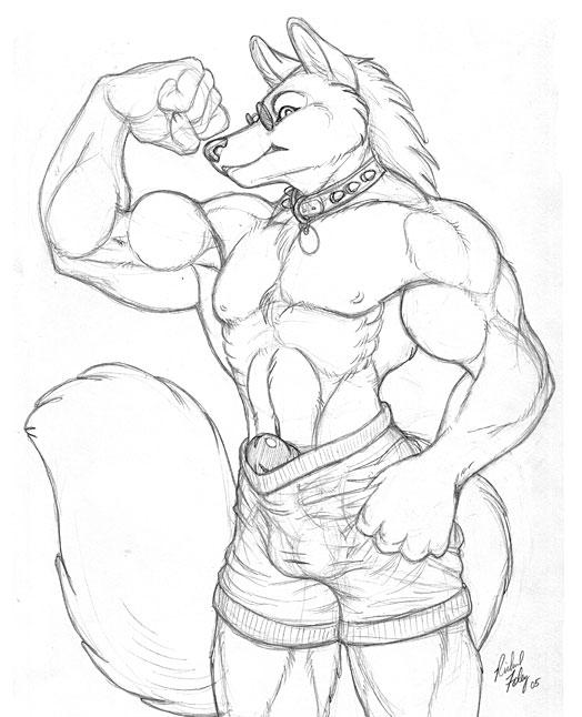 Ychan - g - muscular furries - 58578