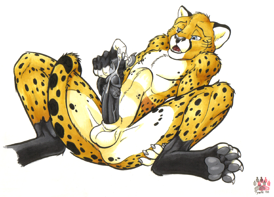 Ychan - m - cheetahs - 606