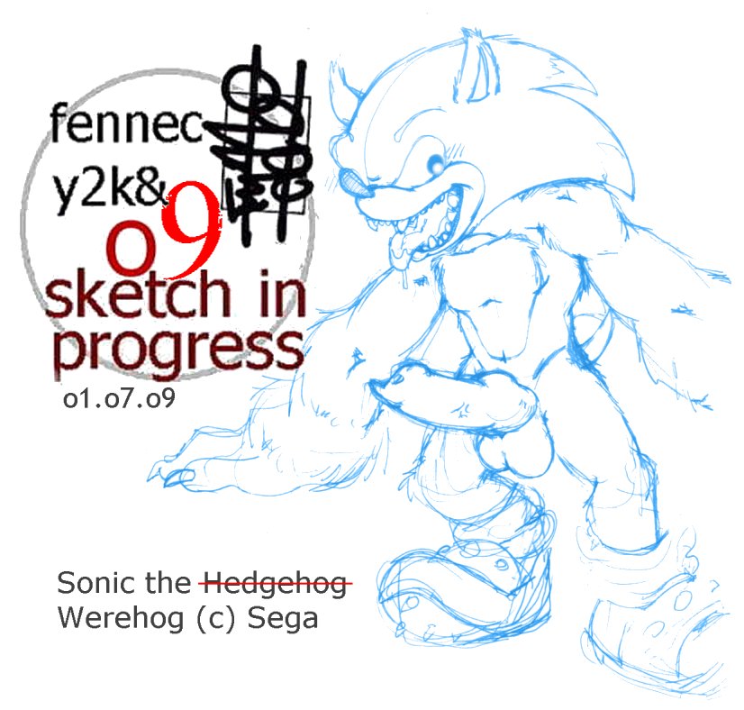 Ychan - r - sonic the werehog - 60798