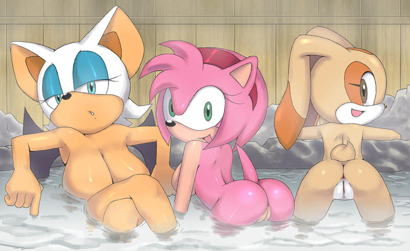 Ychan - r - amy rose - 62967