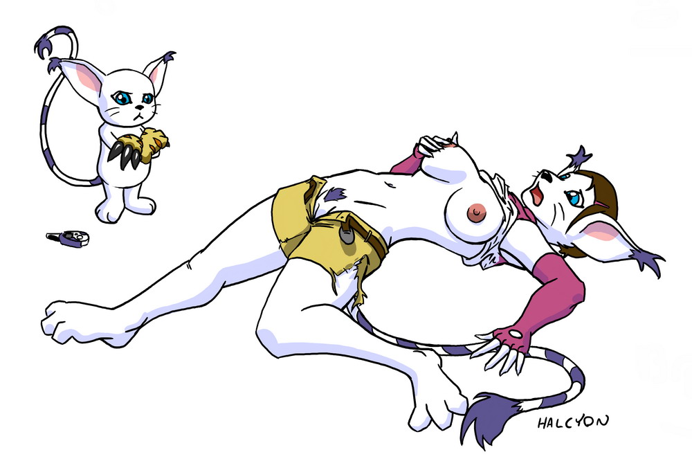 Ychan - r - kari from digimon turing into gatomon - 63285