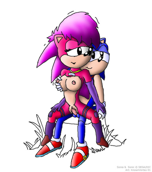 Ychan - s - sonic the hedgehog - 64181