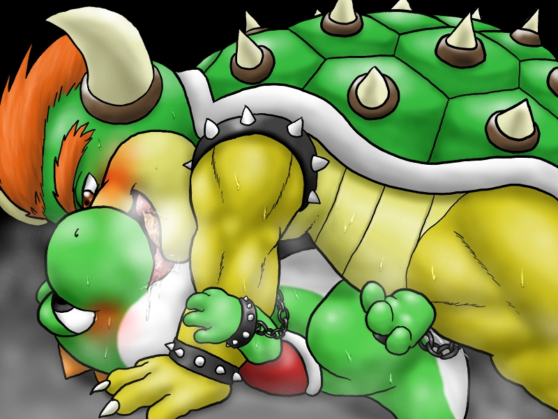 Gay Bowser By Caprisunn.