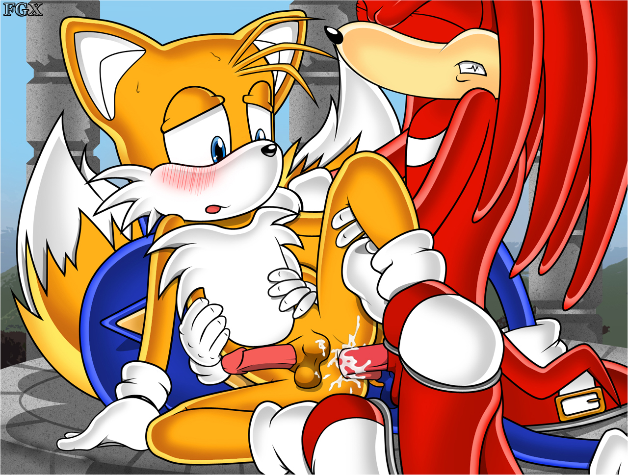 Ychan - g - sotainux (sonic tails and knuckles) - 6560