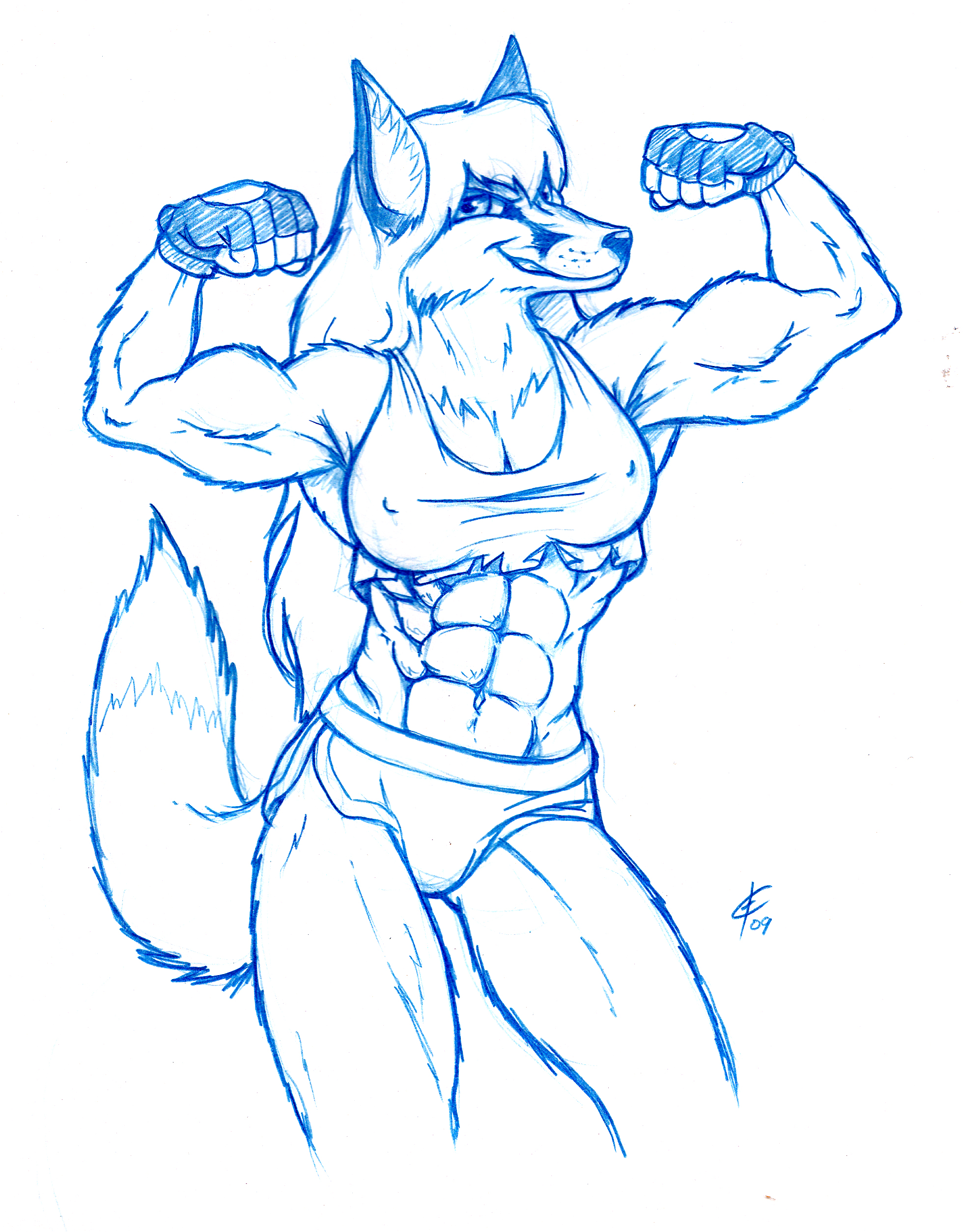 muscle, vixen, fox 