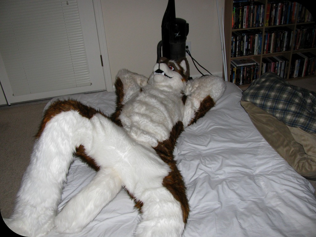 Ychan - rl - fursuit crotch - 69778