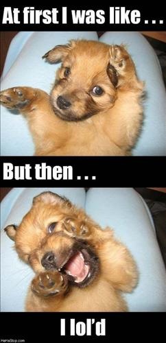 Ychan - ot - funny pictures - 70673
