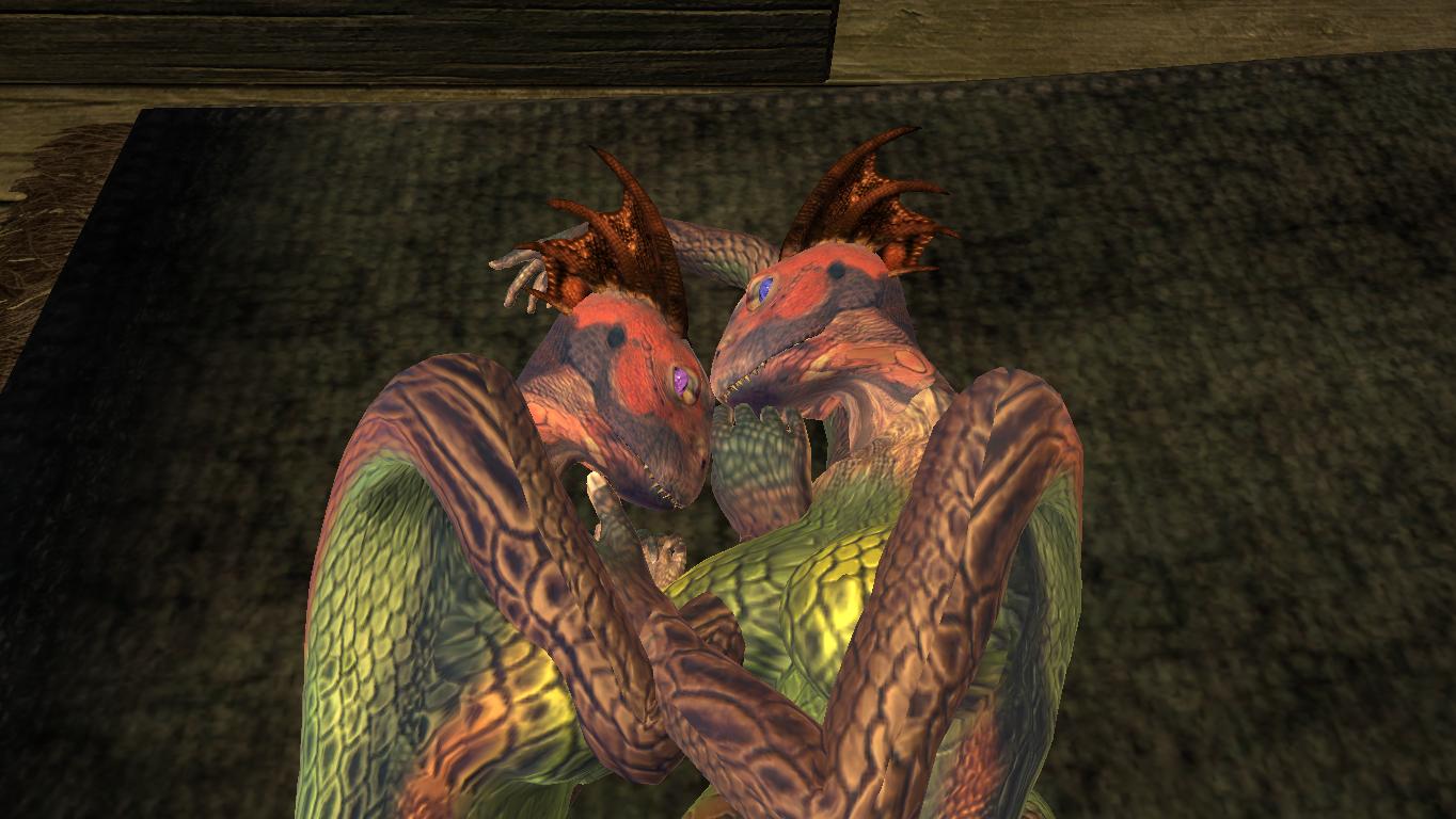 Ychan - f - oblivion furries - khajiit and argonian screenies-art - 71993