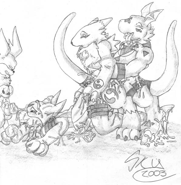 Ychan - m - male renamon - 72019