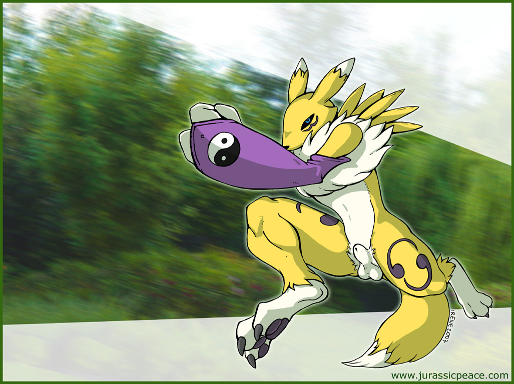 Ychan - m - male renamon - 72032